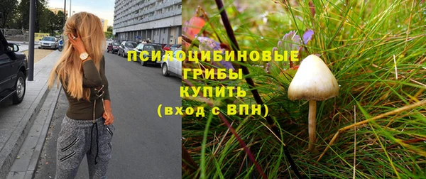 каннабис Шадринск