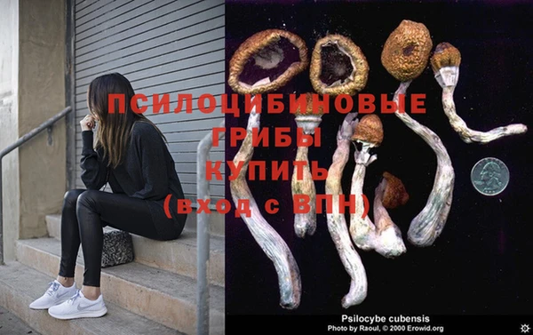 каннабис Шарыпово