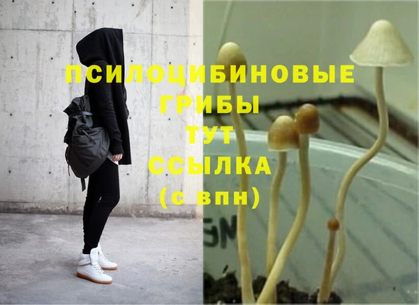 экстази Чегем