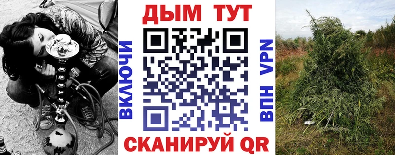 МАРИХУАНА конопля Пугачёв